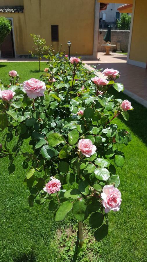Villa Le Rose Di Módica Exterior foto
